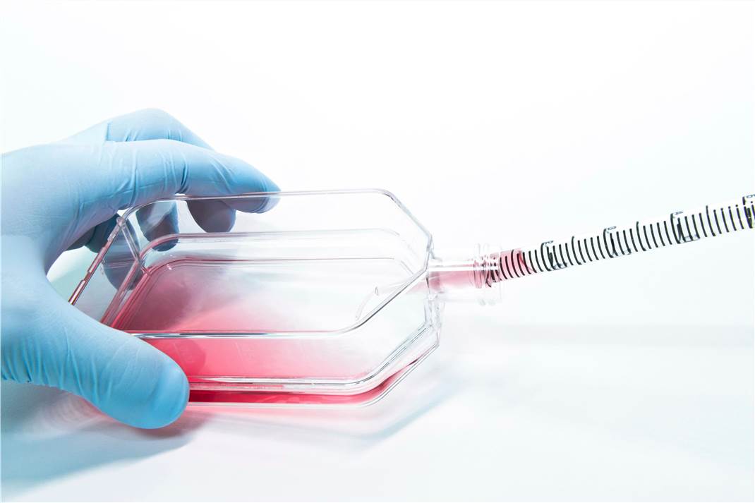 Bioluminescence Assays