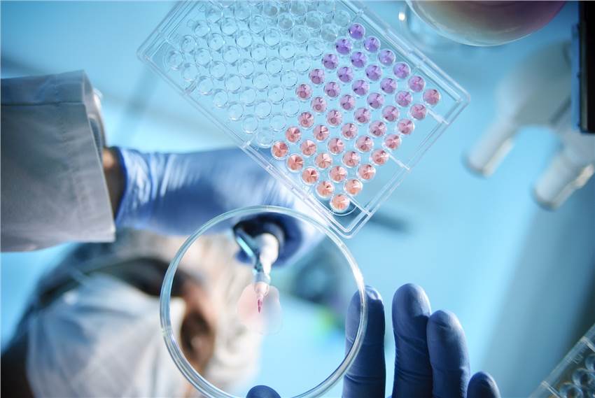 Metabolic Flux Analysis Service