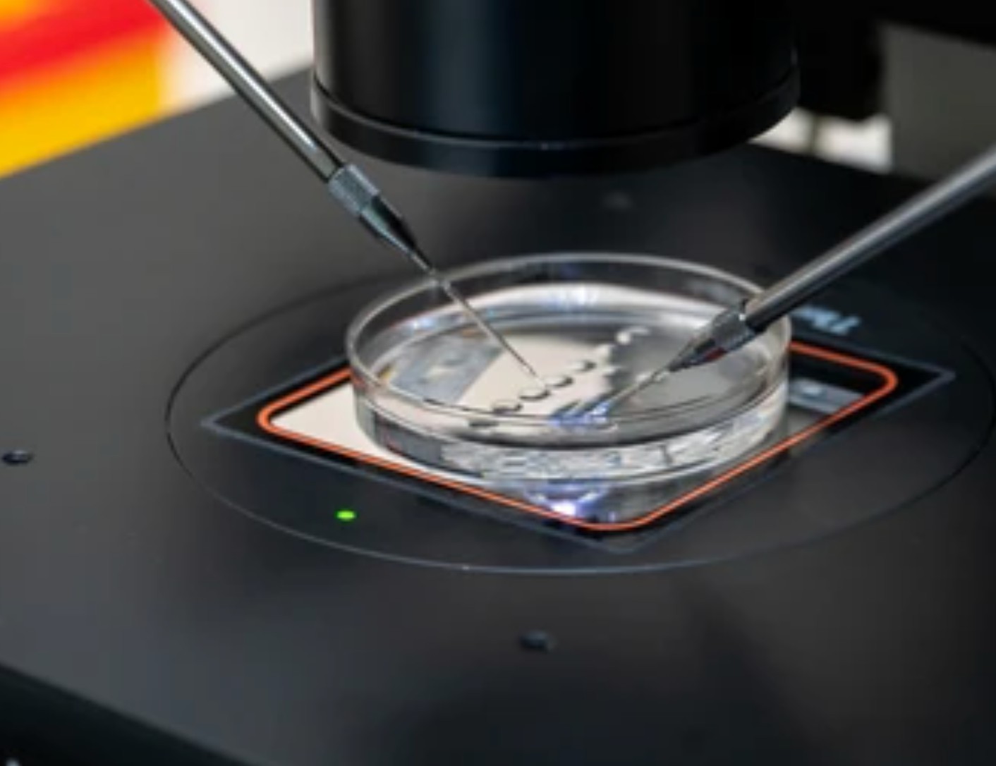 Metabolite Identification Service