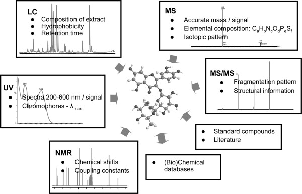 Data given by analytical technologies and databases that can lead to identification of a metabolite for the example of rutin.