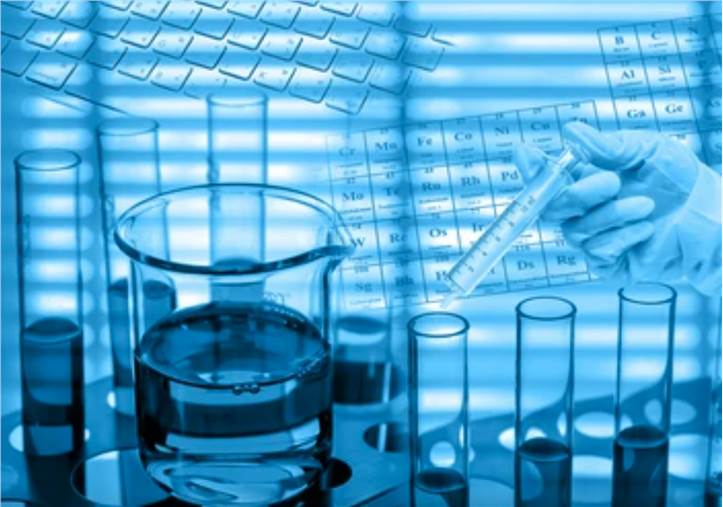 Metabolome and Transcriptome Integration Analysis Service