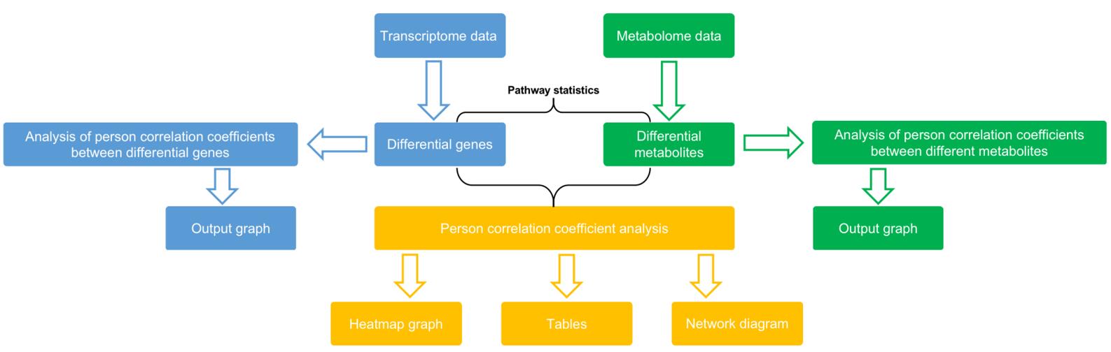 Technical route to integrated metabolomic and transcriptomic analysis services.