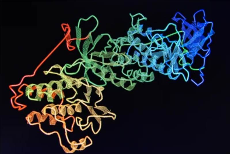 Molecular Docking Service