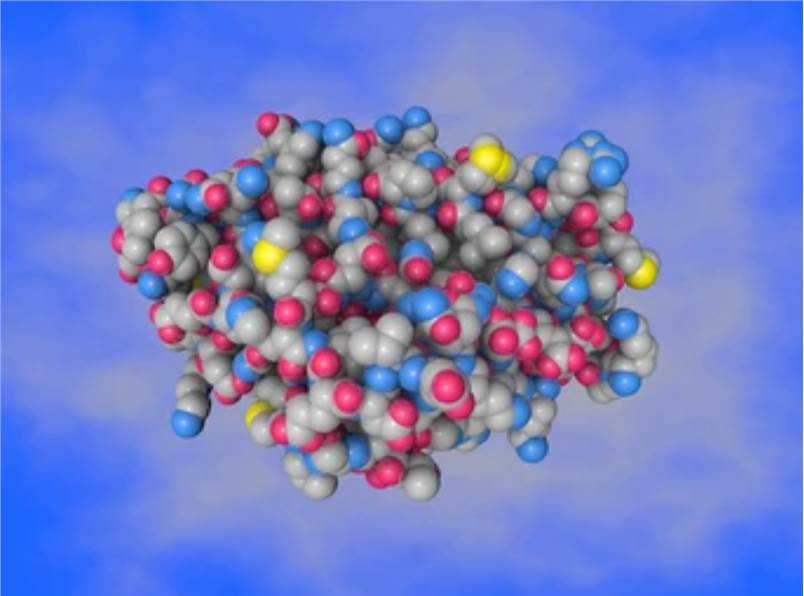 Protein - Ligand Docking