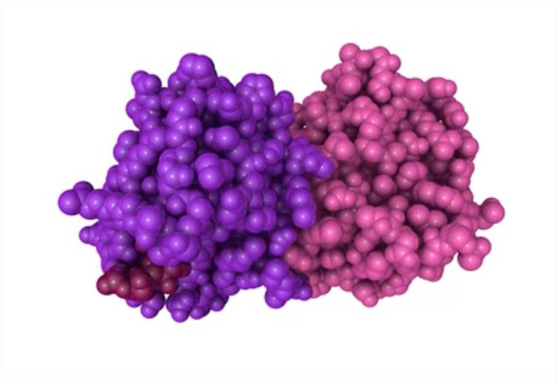 Molecular Dynamics Simulations
