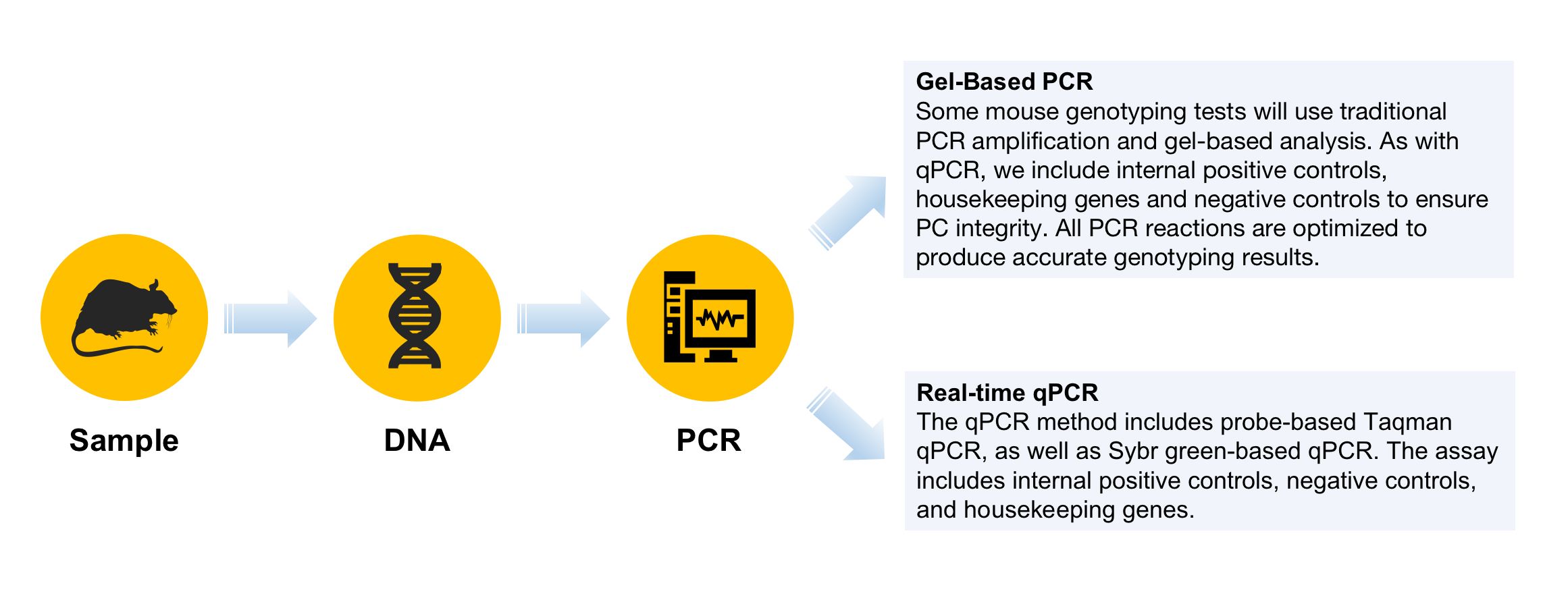 Mouse Genotyping Experiment Flow