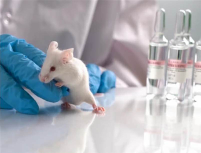 Neurotoxicity Test Animals