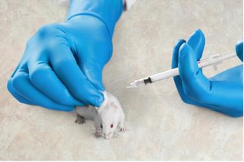 Non-GLP Toxicology Service