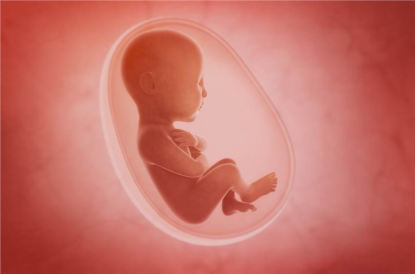Developmental and Reproductive Toxicology