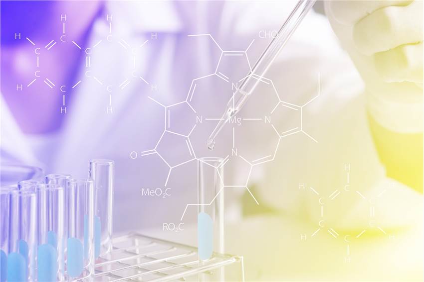 Oncology Pharmacodynamic Technical Tools