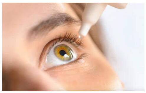 Ophthalmic Drug Research and Drug Platform