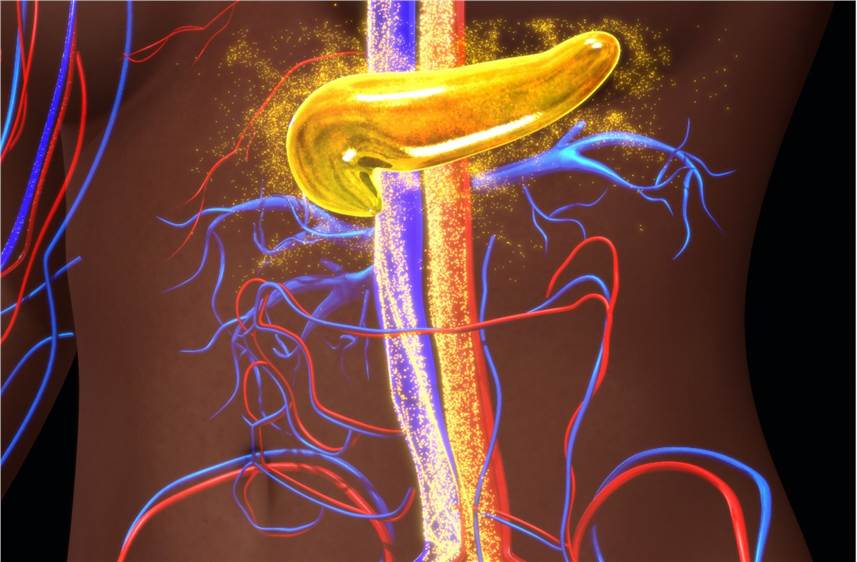 Other Disease Pharmacodynamic Research