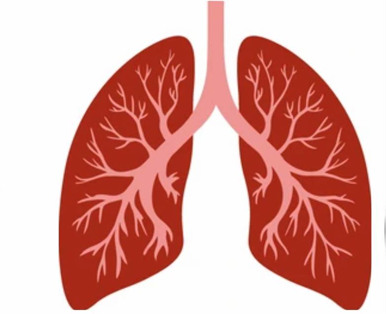 Respiratory Disease Pharmacodynamic Research
