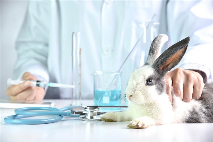 Pesticide Acute Toxicity Test Animal