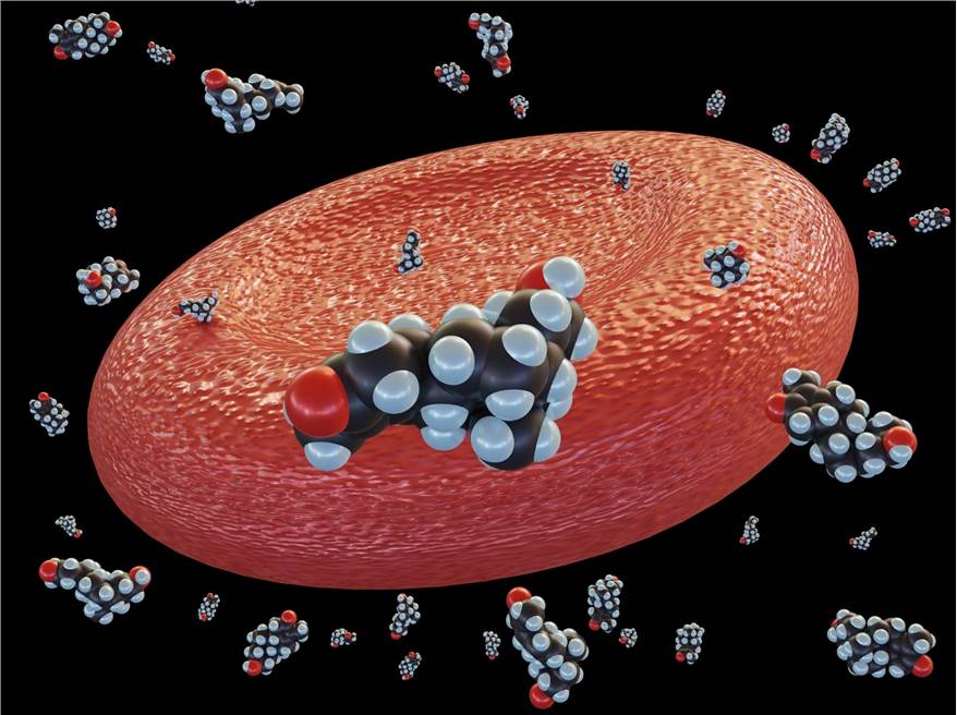 Pesticide Metabolism and Toxicokinetic Test