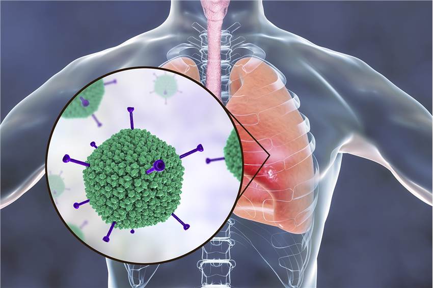 Pharmacodynamic Studies of Human Medicine