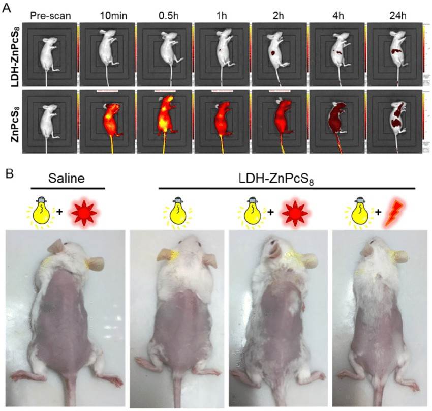 Detection of skin phototoxicity