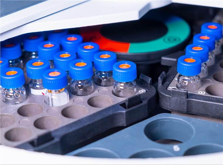 Plant Targeted Metabolomics Analysis