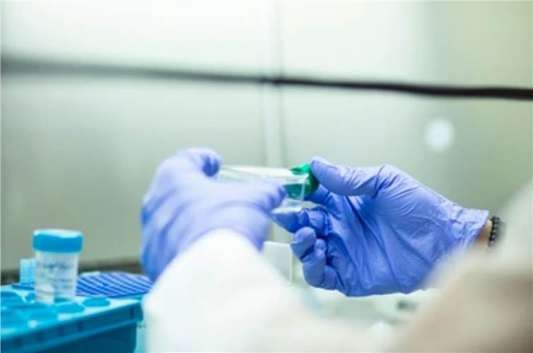 Prenatal Developmental Toxicity Test