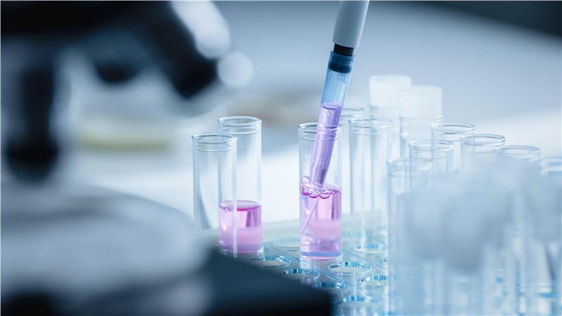 Preparation Quality Research Capabilities