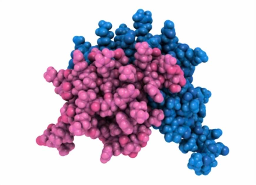Protein BioNMR Discovery Service
