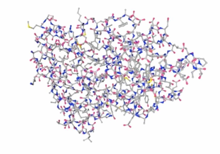 Human estrogen-related receptor gamma ligand binding domain in complex with bisphenol A. Molecular model.