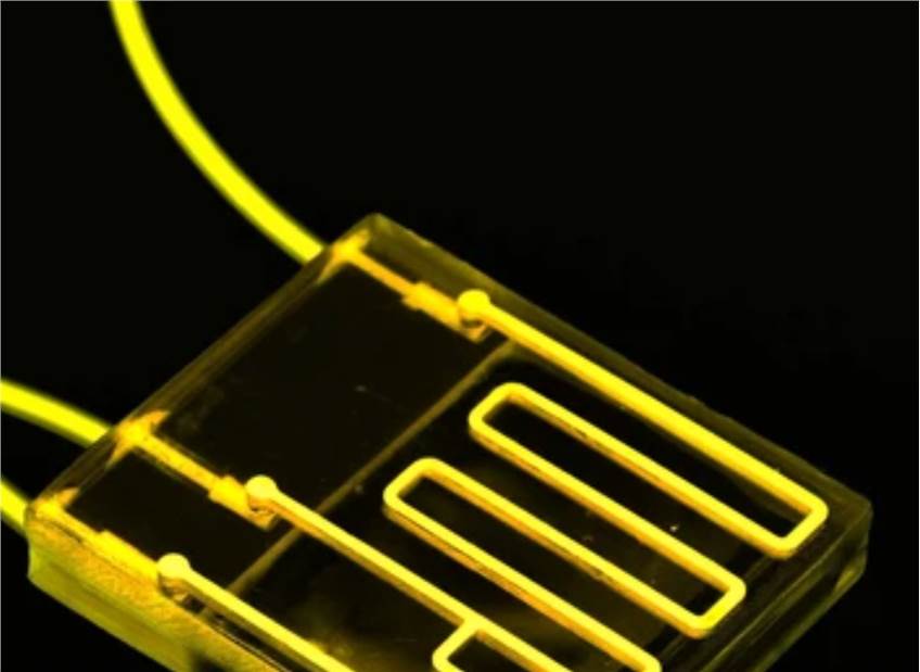 Antibody Chip Detection