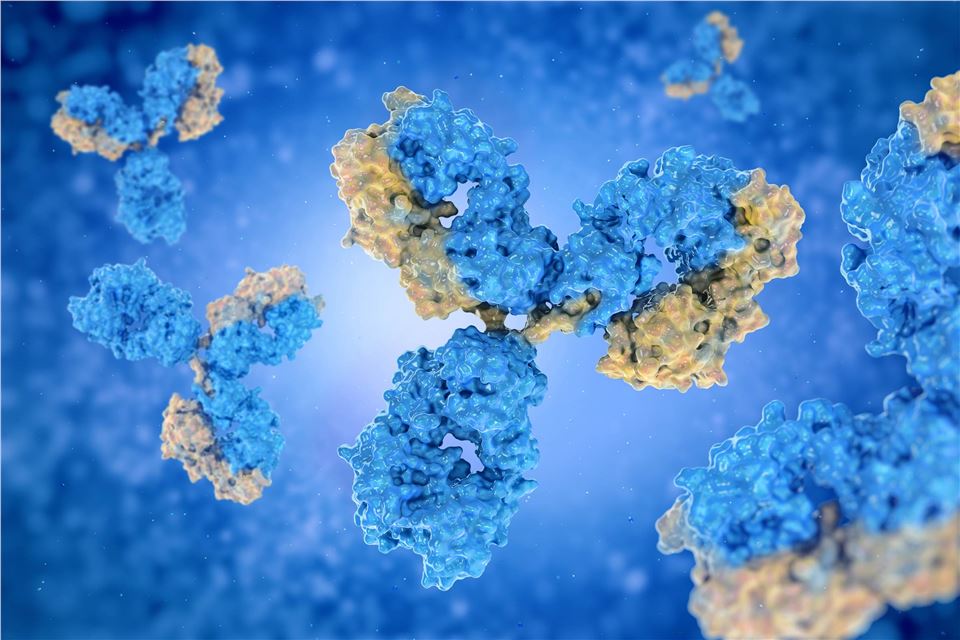 Protein Crystallography Service