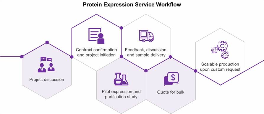 Protein Expression Service Workflow - Our company