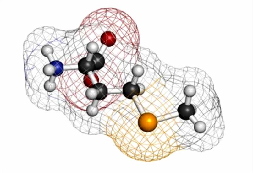 Selenomethionine amino acid molecule.