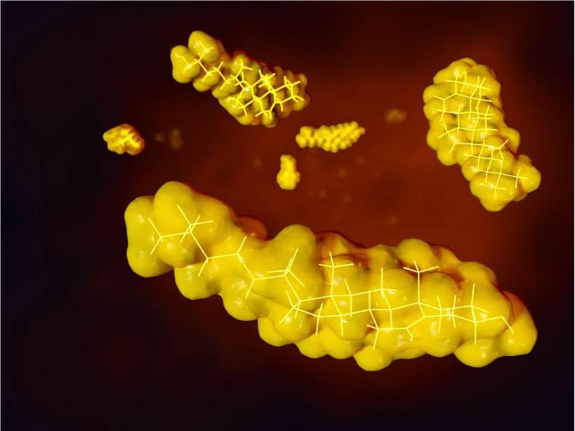 Short-chain Fatty Acid Targeted Metabolomics Analysis