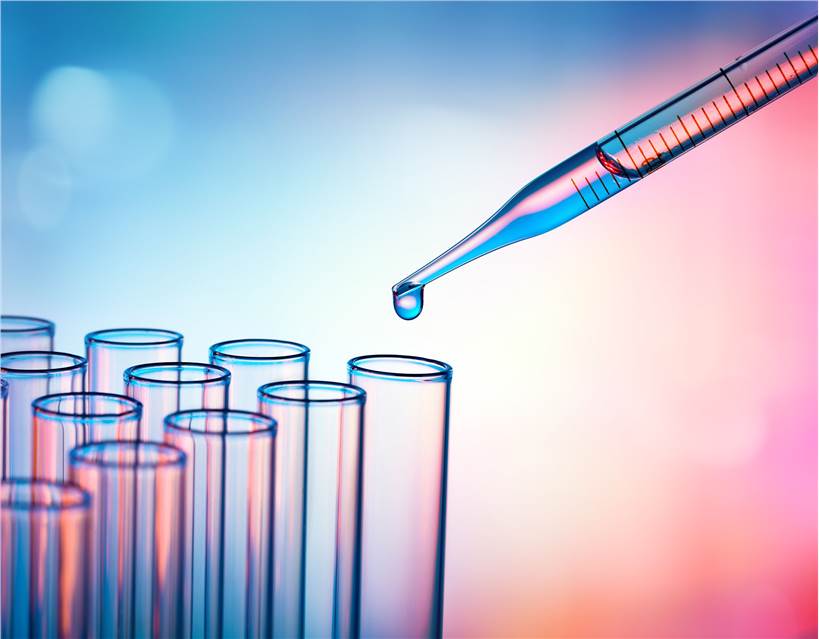 Short-term Repeated Dose Inhalation Toxicity Test
