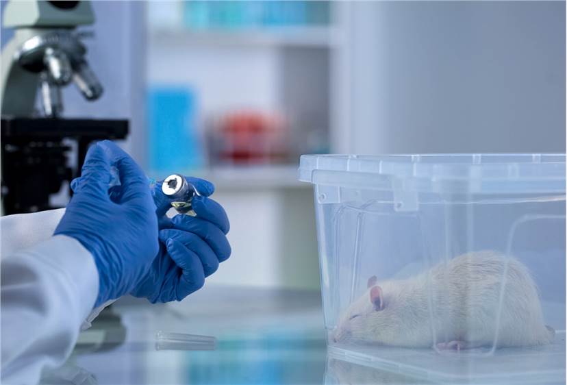 Short-term Repeated Dose Inhalation Toxicity Test Animals