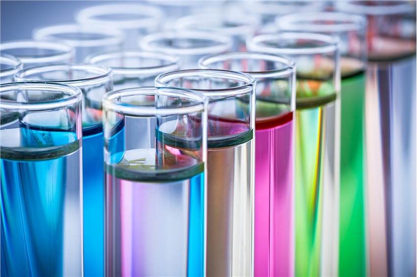 Short-term Repeated Dose Oral Toxicity Test