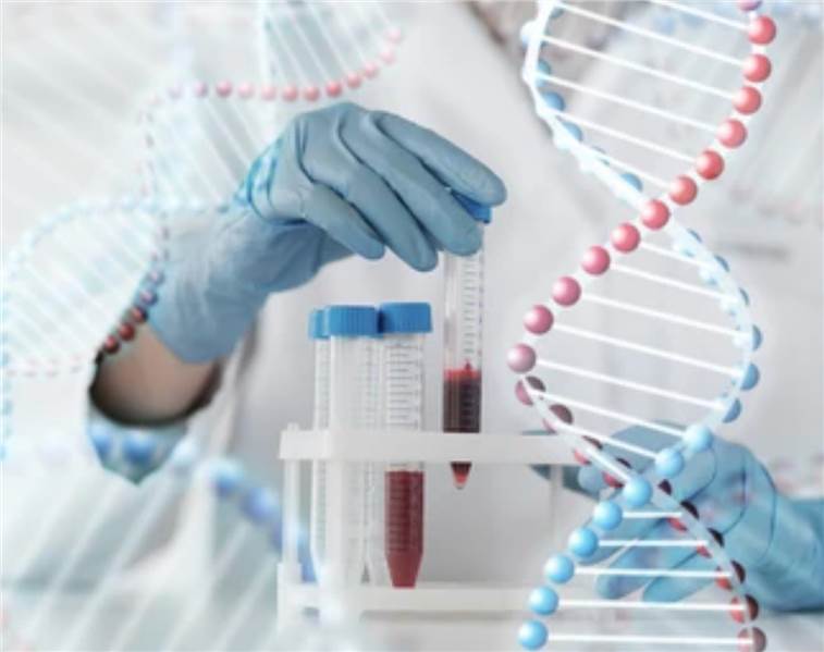 Blood Analysis