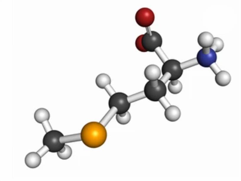 Selenomethionine Media