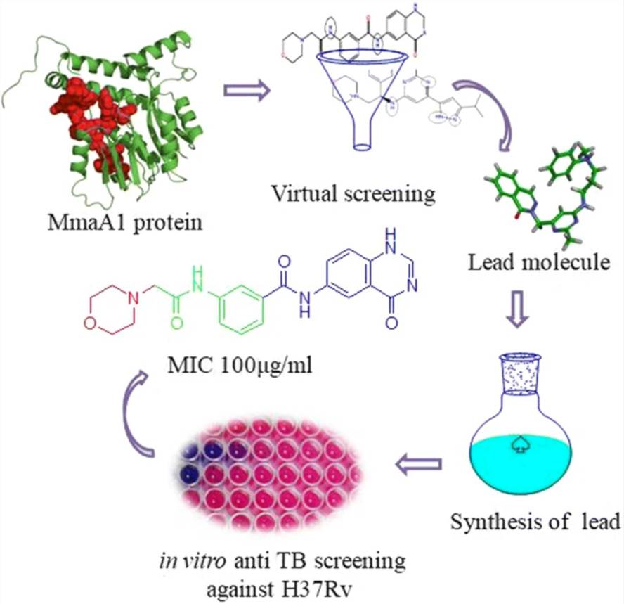 Structure based virtual screening study was performed using a validated homology model against small molecules from two virtual compound libraries.