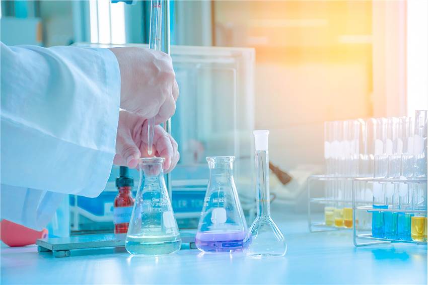 Subchronic Toxicity Test
