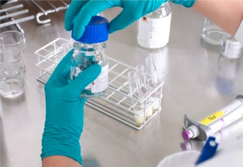 Lipid Metabolomics Experiment