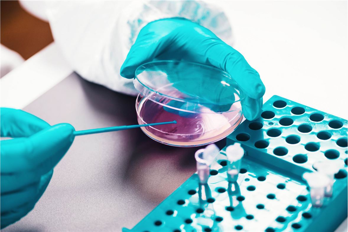 Targeted Metabolomics Service