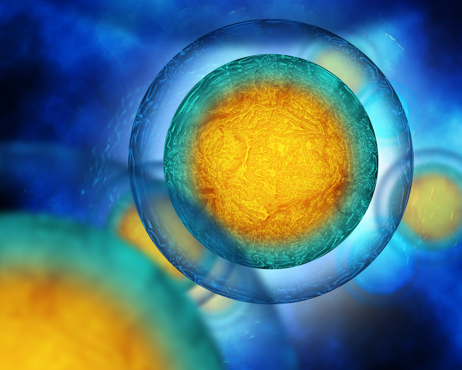 Time Resolved Fluorescence Service