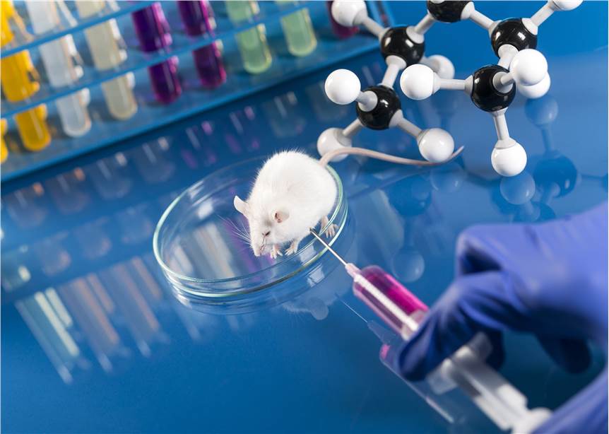 Toxicokinetics Study Service