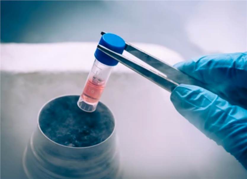 Translational Medicine Laboratory Facilities