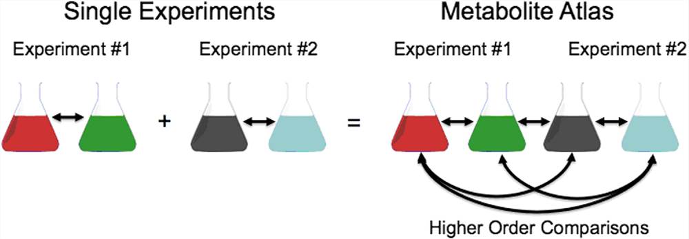 Metabolite profiles. Single experiments using similar biological samples were combined into LC-MS method-specific metabolite profiles for additional experimental comparisons.