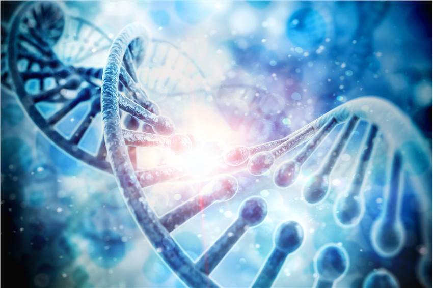 Unscheduled DNA Synthesis Test