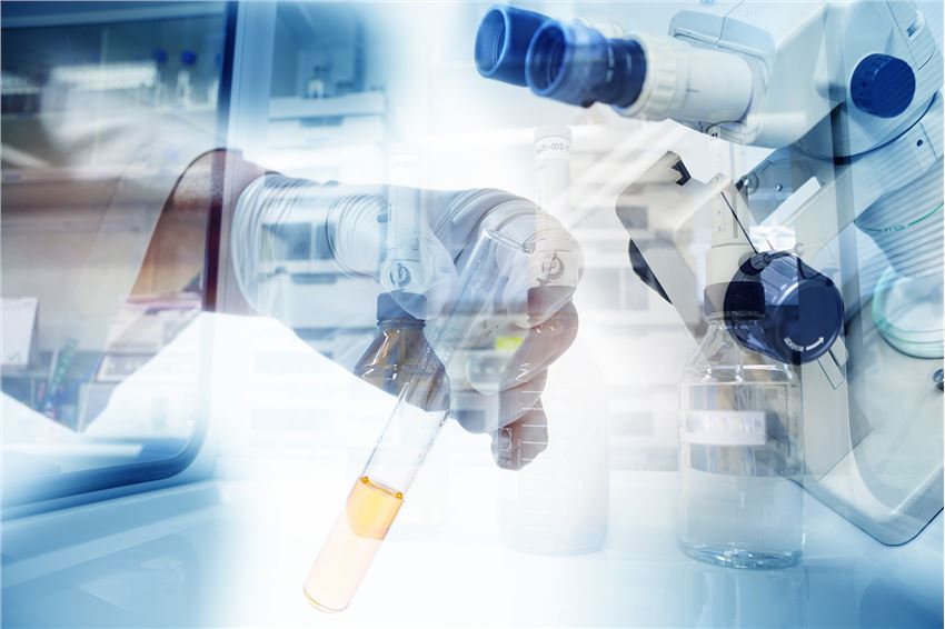 Veterinary Drug Bioequivalence Test