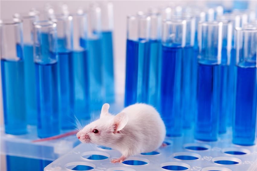 Veterinary Drug Pharmacodynamic Test