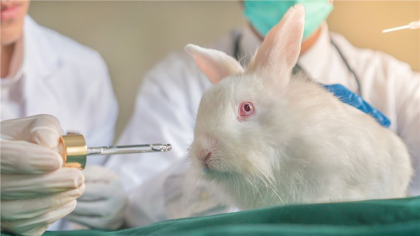 Veterinary Drug Target Animal Safety Test