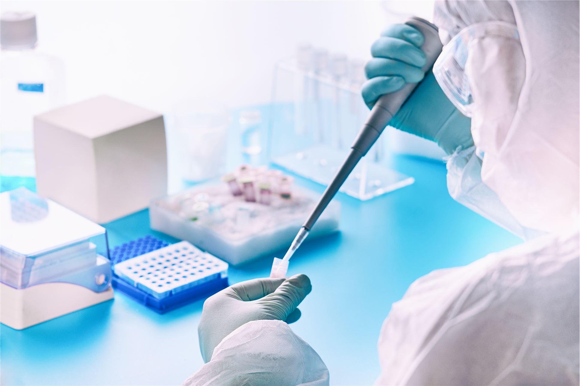 Qualitative and Quantitative Cytotoxicity Testing