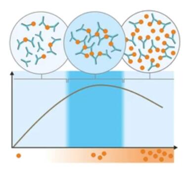 Antibody Aggregation Analysis